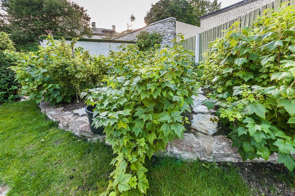 City Center Garden Camping Tallinn Exterior photo